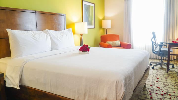 Hilton Garden Inn Panama City Downtown, Panama