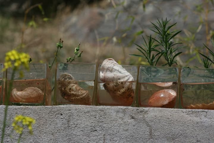Hotel La Canela