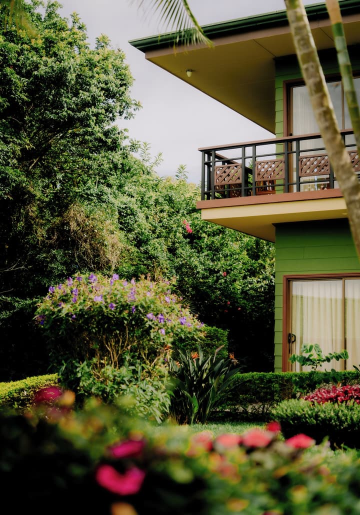 Ficus Sunset Suites