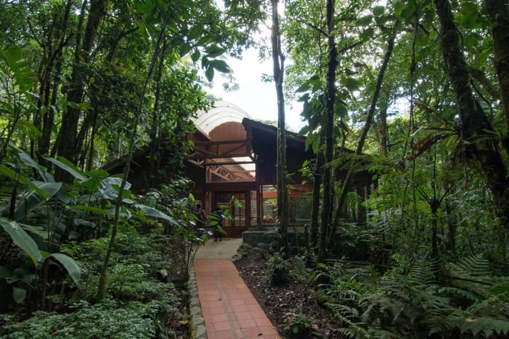 Ficus Sunset Suites