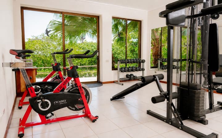 Ficus Sunset Suites