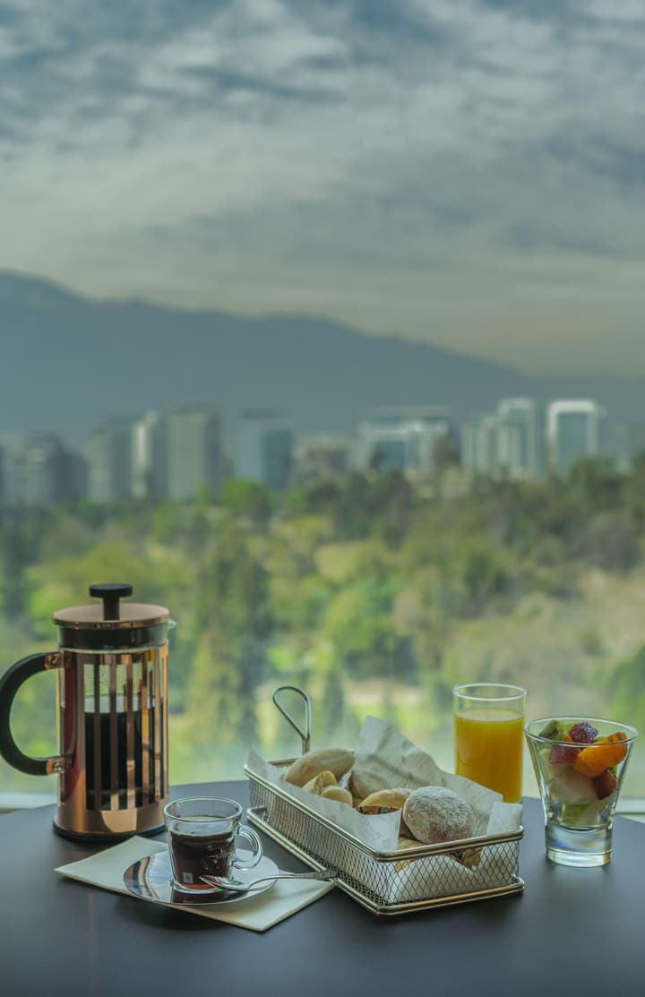 Pullman Santiago Vitacura