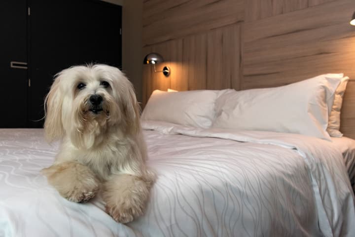 Pullman Santiago Vitacura