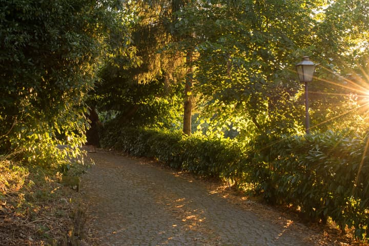 Aparthotel Quinta do Crestelo