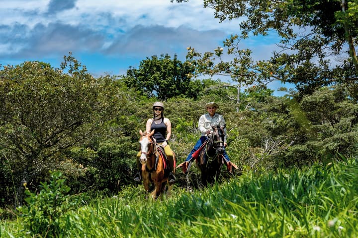 Rinconcito Lodge