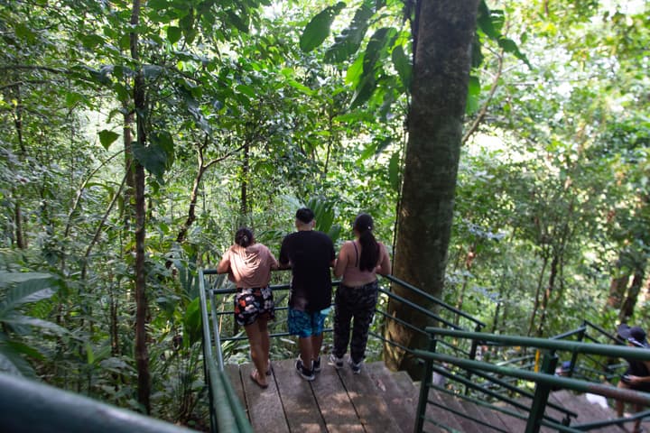 Hotel El Icaco Tortuguero