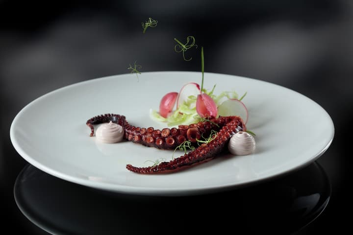 8Piuhotel