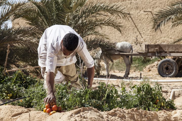 Taziry Ecolodge & Sustainable Village