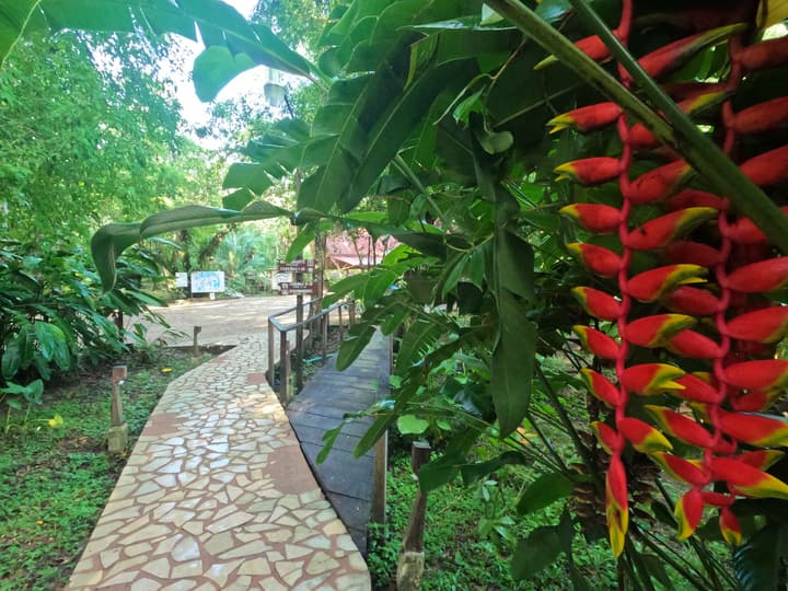 Kin Balam Cabanas