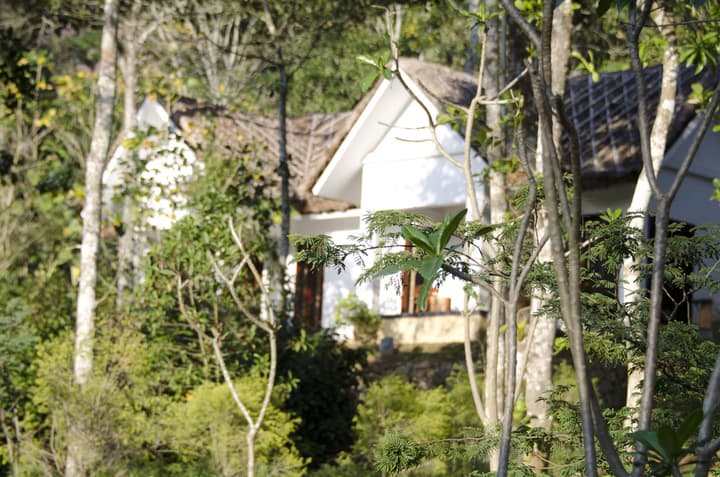 Niraamaya Cardamom Club