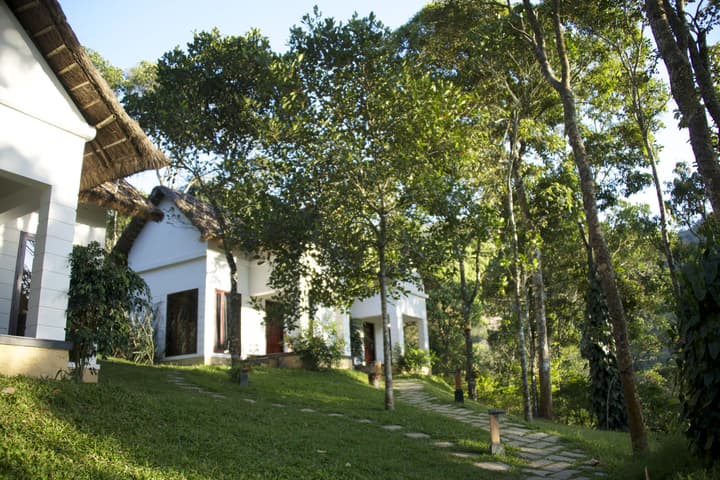 Niraamaya Cardamom Club
