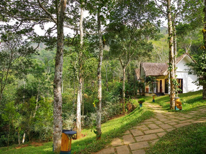 Niraamaya Cardamom Club