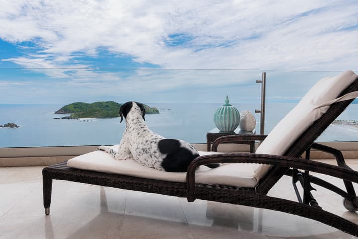 Hotel Azul Ixtapa Grand Resort Spa and Convention Center - All inclusive