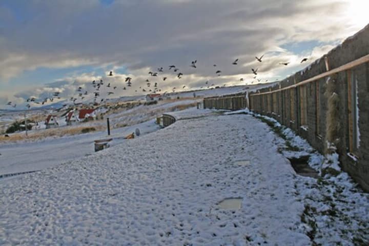 Altiplanico Puerto Natales