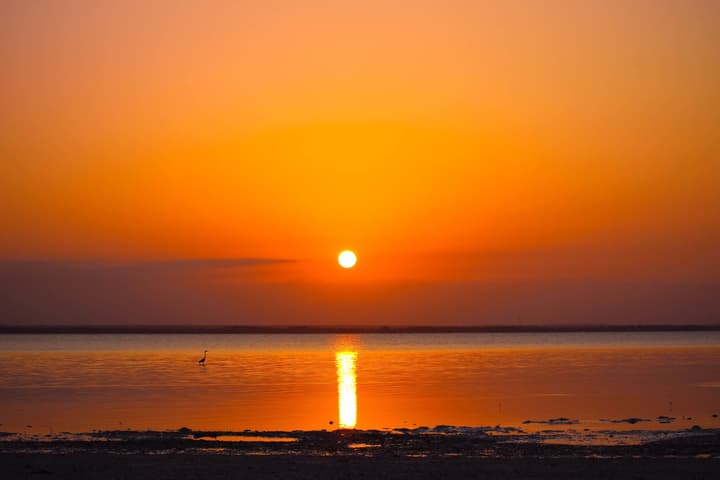 Michamvi Sunset Bay