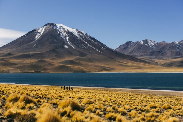 Altiplanico San Pedro de Atacama