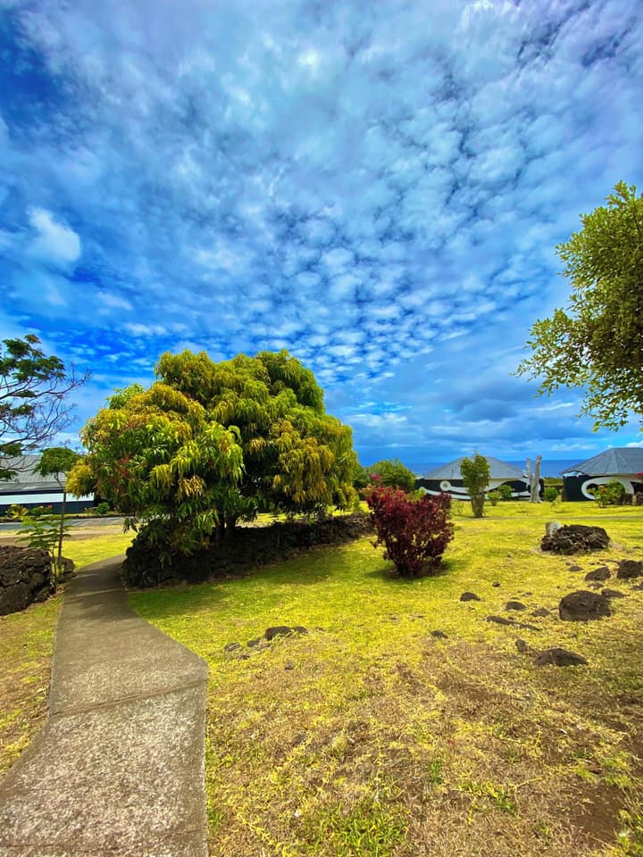 Altiplanico Rapa Nui