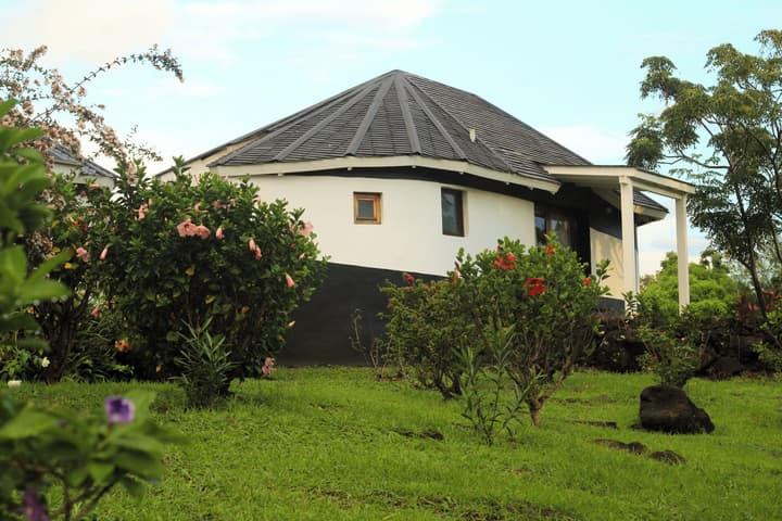 Altiplanico Rapa Nui