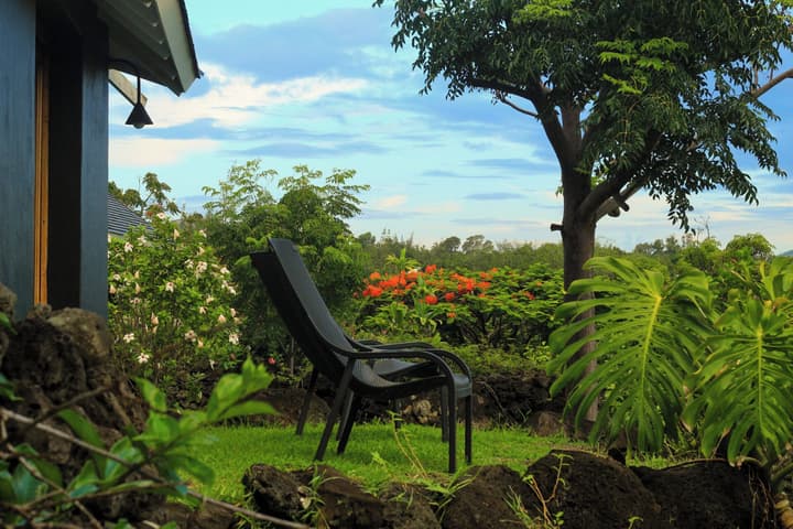 Altiplanico Rapa Nui