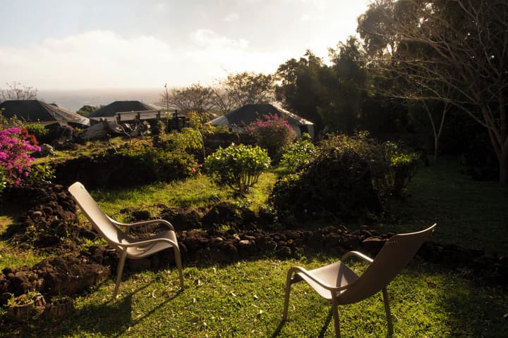 Altiplanico Rapa Nui
