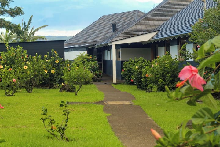 Altiplanico Rapa Nui