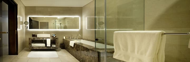 Fairmont The Palm