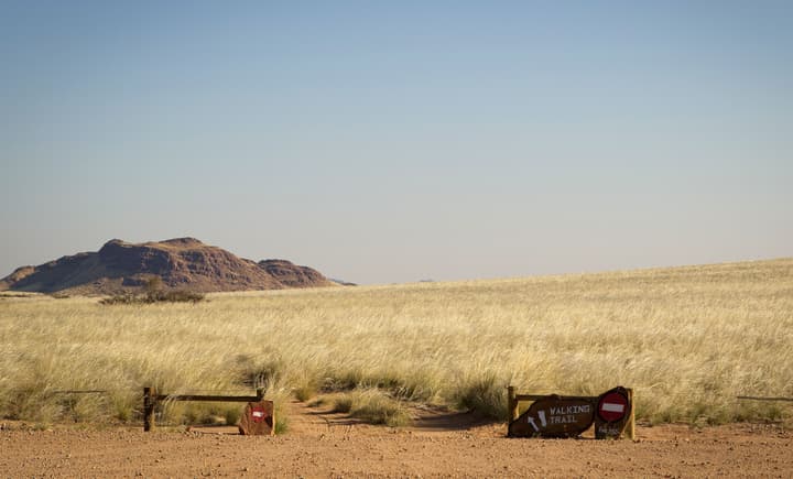 Desert Camp