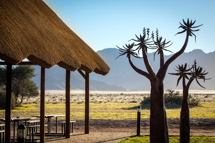 Desert Camp