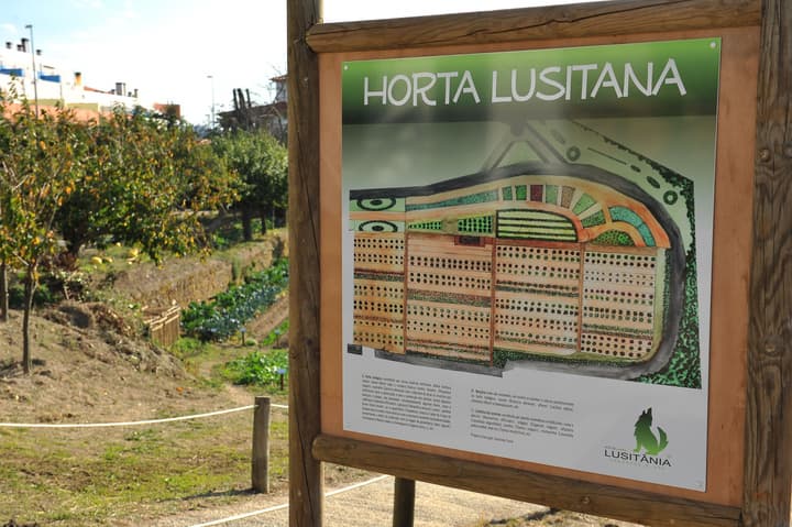 Hotel Lusitania