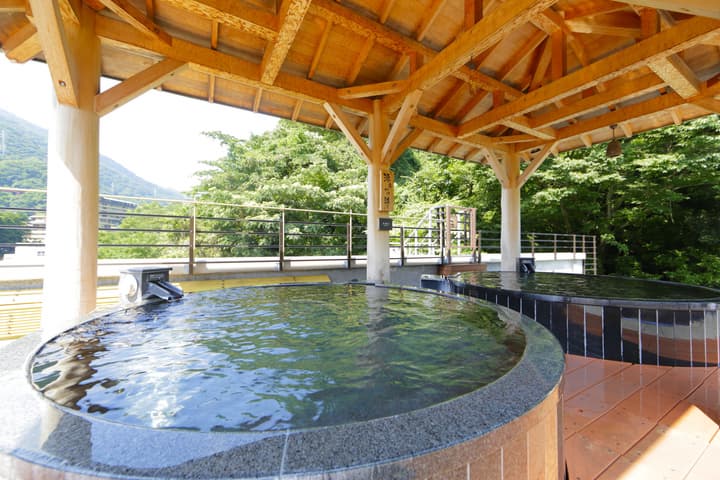 Hakone Yumoto Onsen Tenseien