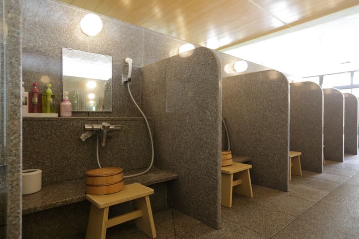 Hakone Yumoto Onsen Tenseien
