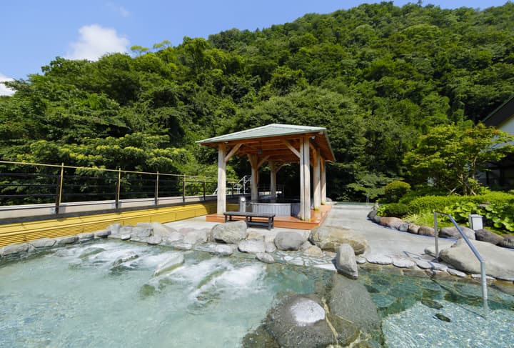 Hakone Yumoto Onsen Tenseien