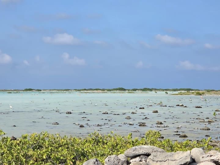The Lodge Bonaire