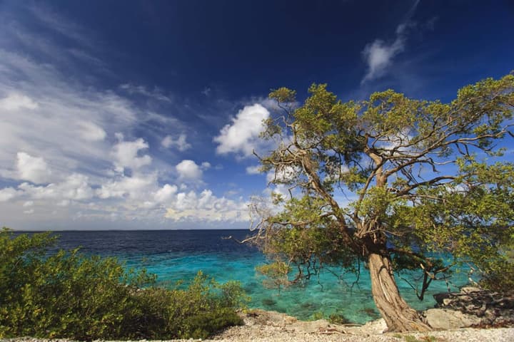 The Lodge Bonaire