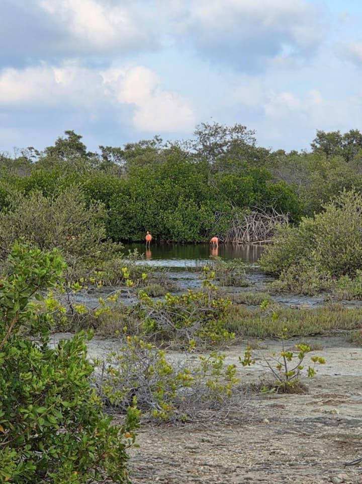 The Lodge Bonaire