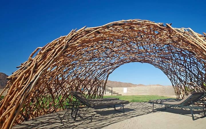 Sossus Oasis Camp Site