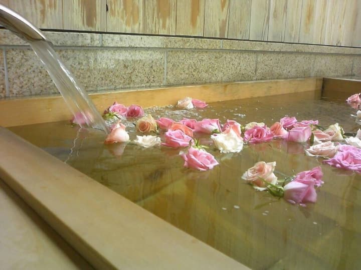 Ochanomizu Hotel Shoryukan