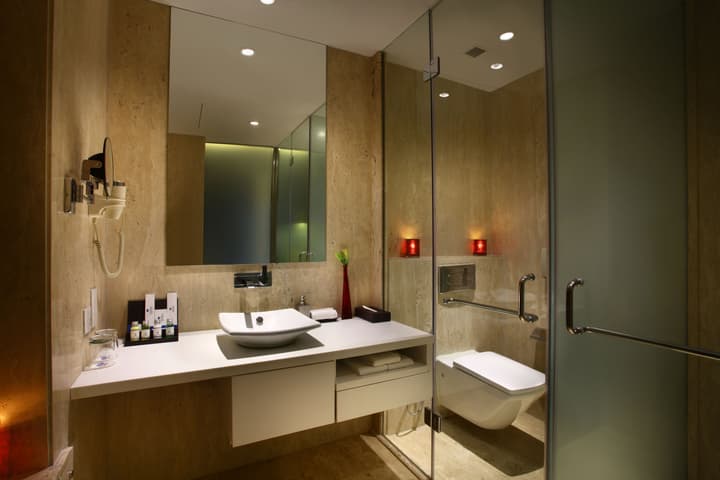 Park Plaza Delhi CBD Shahdara