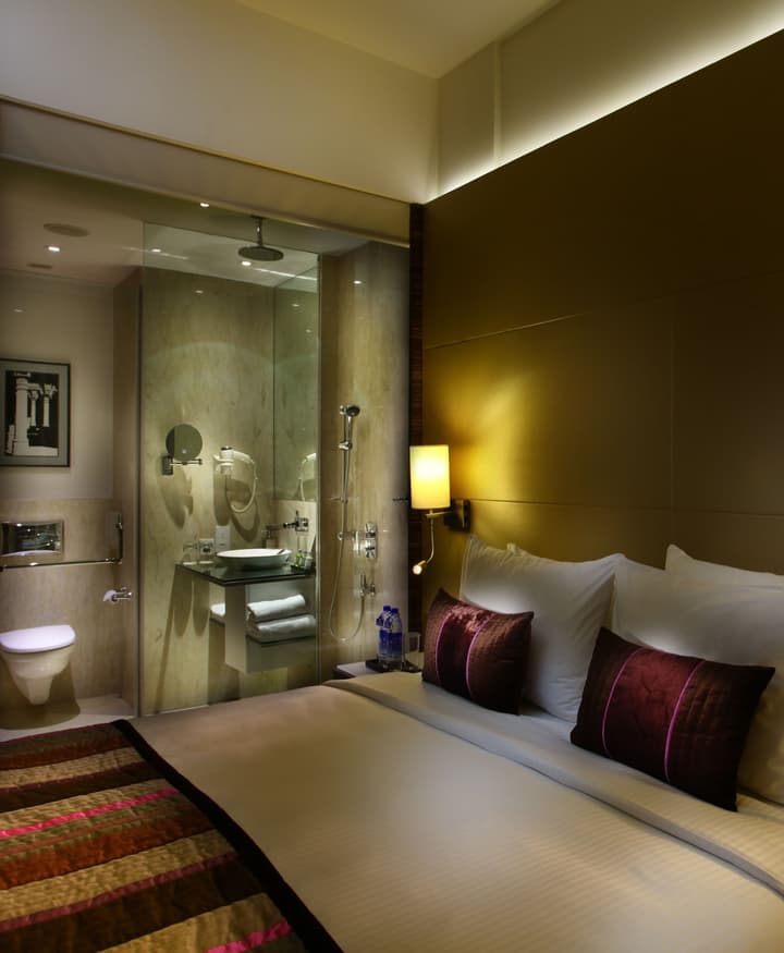 Park Plaza Delhi CBD Shahdara