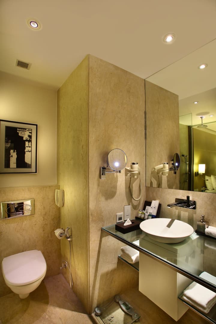 Park Plaza Delhi CBD Shahdara