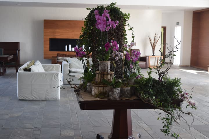 Amphora Hotel & Suites