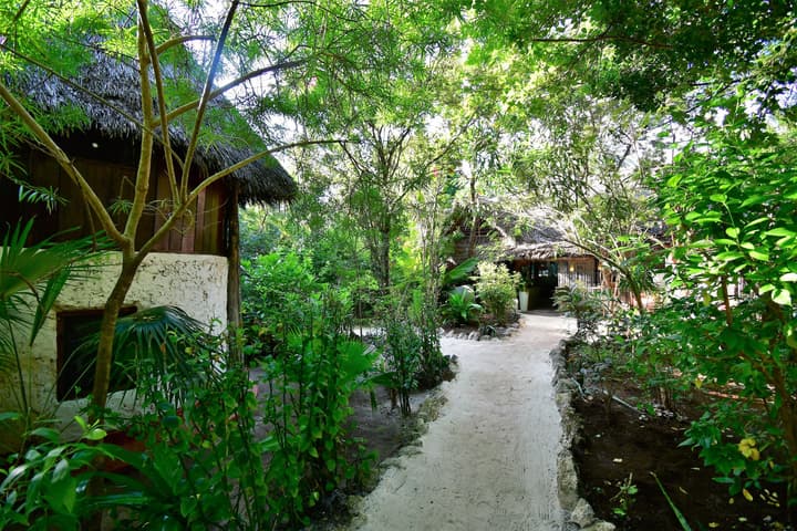 Bellevue Guesthouse