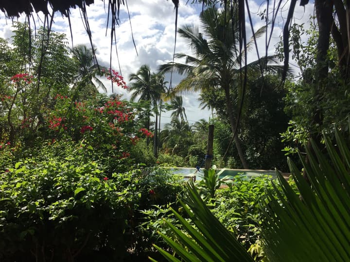 Bellevue Guesthouse