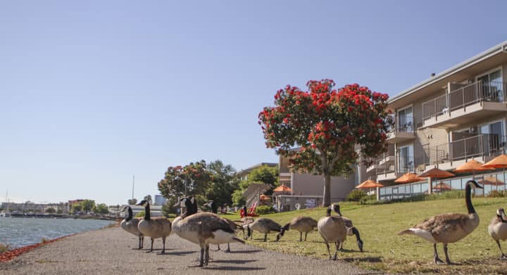 Best Western Plus Bayside Hotel