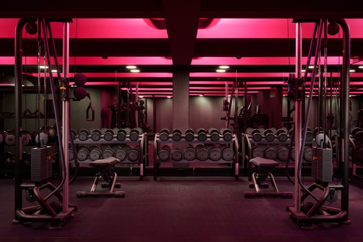 Malmaison York
