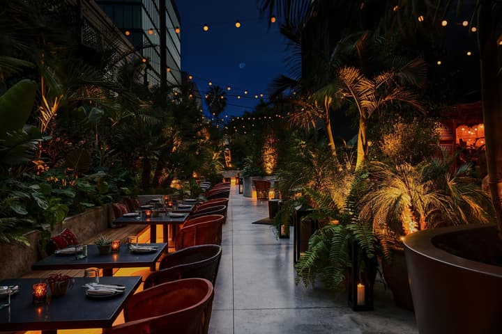 HOLLYWOOD VOLUME, a Tribute Portfolio Hotel