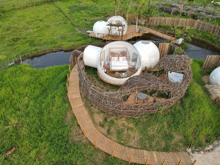 Green Land Bubble Glamping
