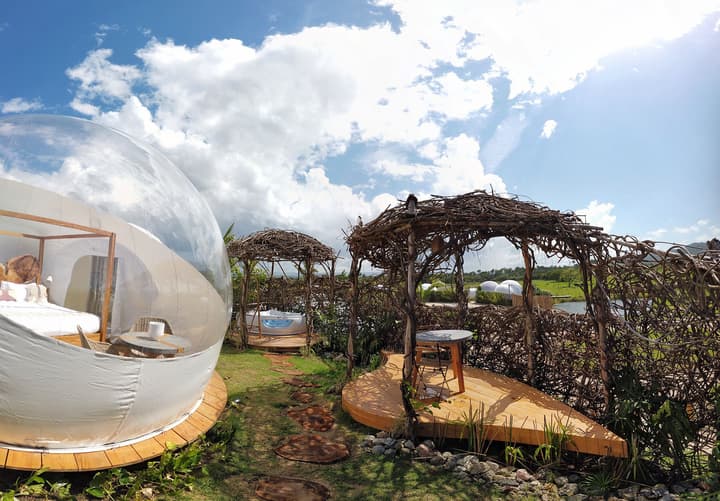 Green Land Bubble Glamping