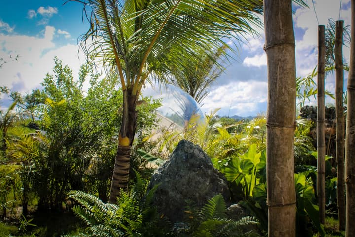 Green Land Bubble Glamping