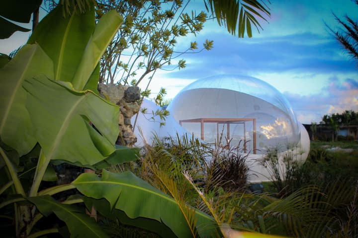 Green Land Bubble Glamping